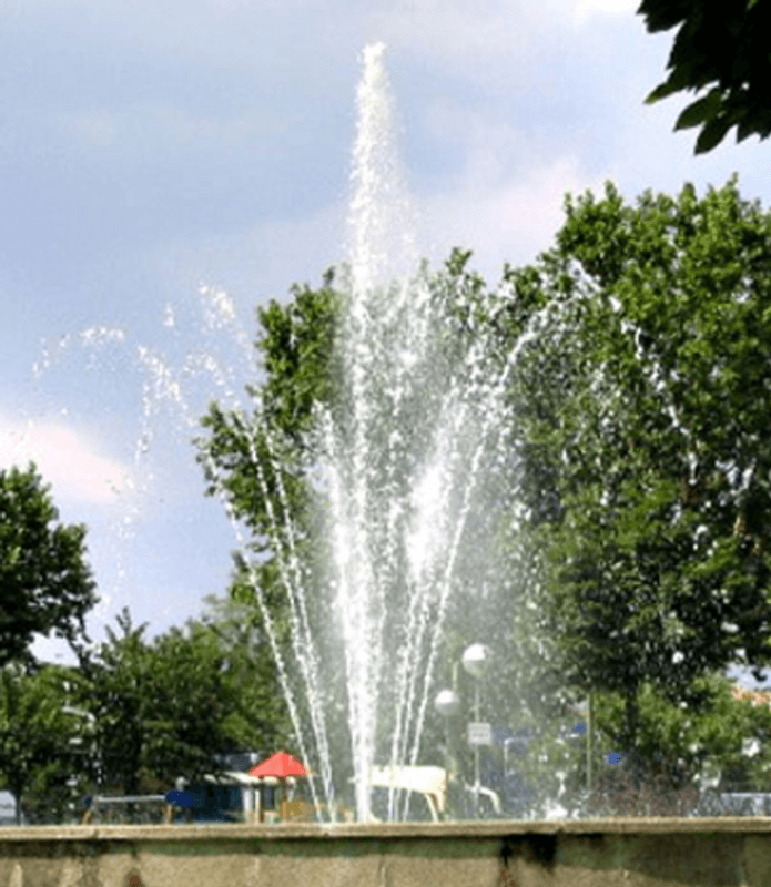 Special Crown | Fontenedyse