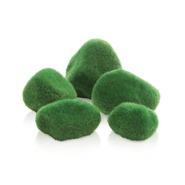 Hovedbilde BiOrb | Moss-Steiner