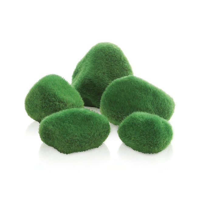 Hovedbilde BiOrb | Moss-Steiner