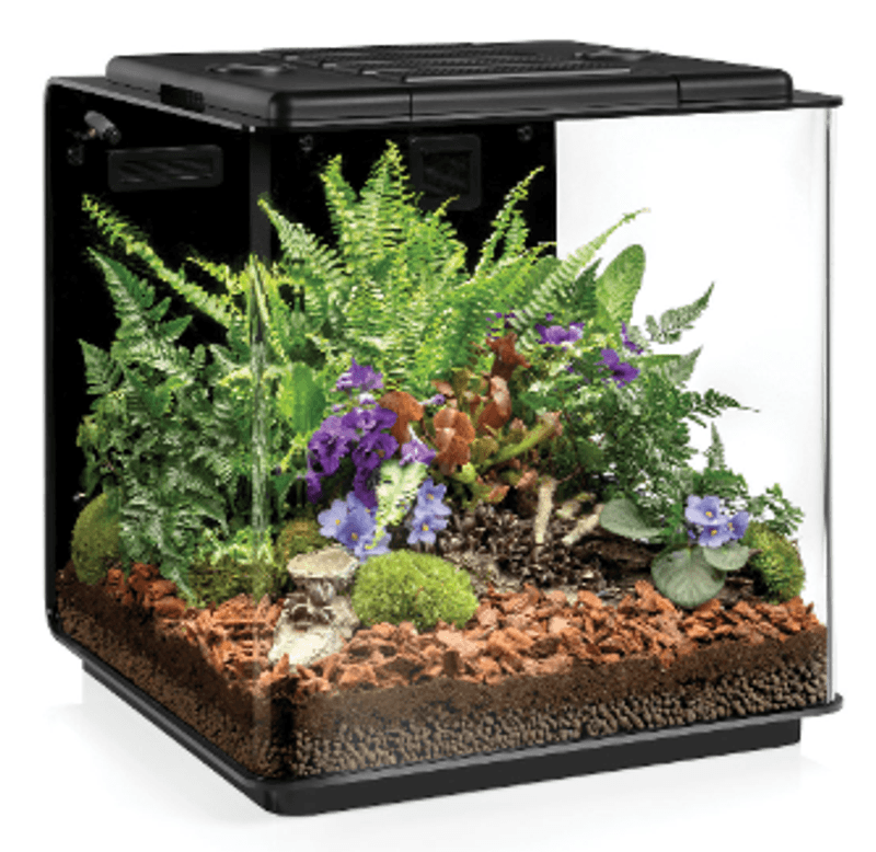BIORB EARTH TERRARIUM