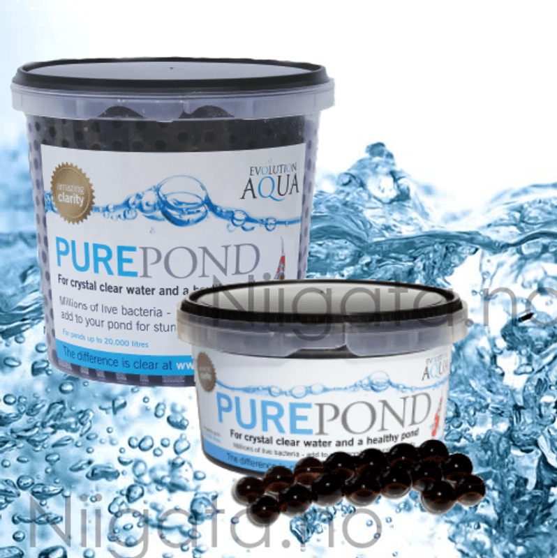 PURE POND BALLER  500ML FOR 10 000L DAM