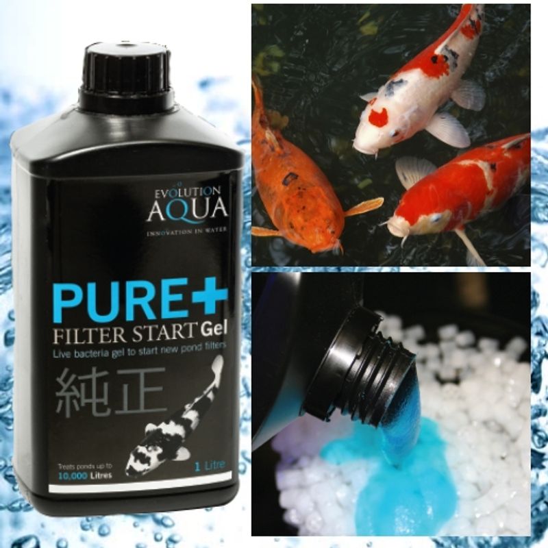 Pure+ Filter | Start Gel  1L 