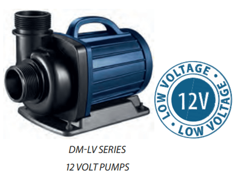 Aquaforte DM-LV Filterpumpe | 5000  12 VAC